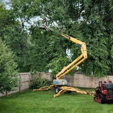 Lawn Pest Prevention in Dobson, NC